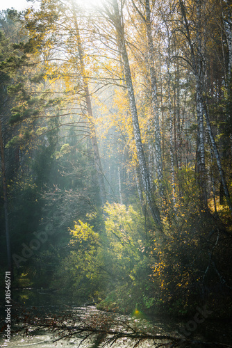 Sunbeams shines through trees to the small silent pond. Selective focus. Autumn landscape. 