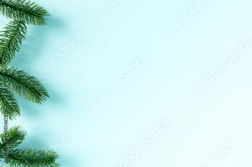 Border of green fir branches on blue background