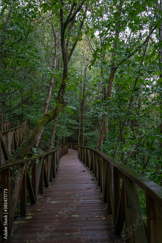 Wooden walkway to access the Natural Monument of the Secuoyas of Monte Cabez  n. Cantabria. Spain