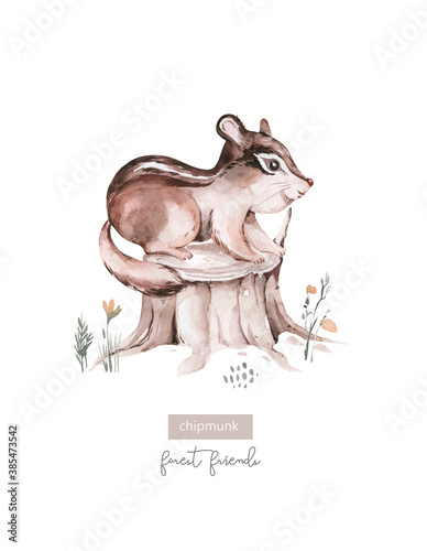 Woodland watercolor cute animals baby chipmunk. Scandinavian chipmunk on forest nursery poster design. Isolated character