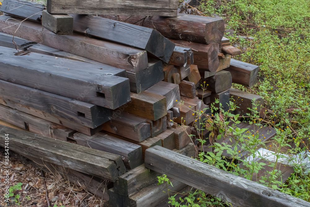 lots of firewood in the forest lots of firewood in the forest