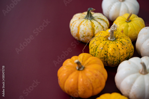 Colorful Pumpkins for Fall, Autumn, Harvest, Halloween Theme Graphic