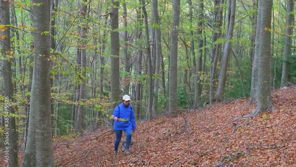 Young tourist women walking in the beech forest in autumn. Young tourist women walking in the beech forest in autumn.