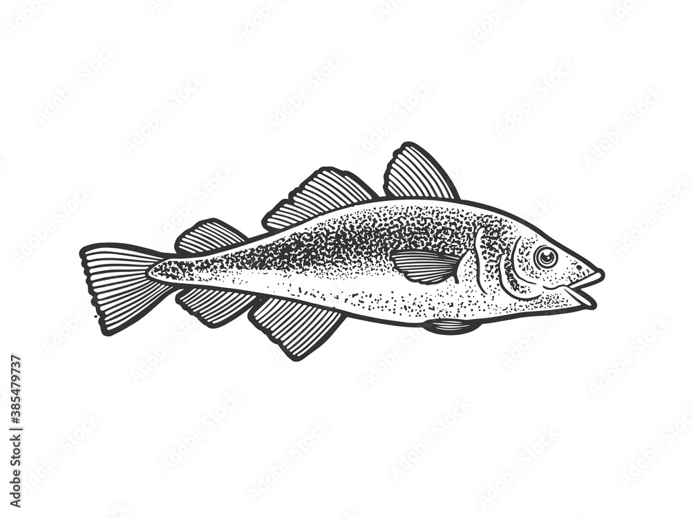 Obraz premium Atlantic cod fish sketch raster illustration