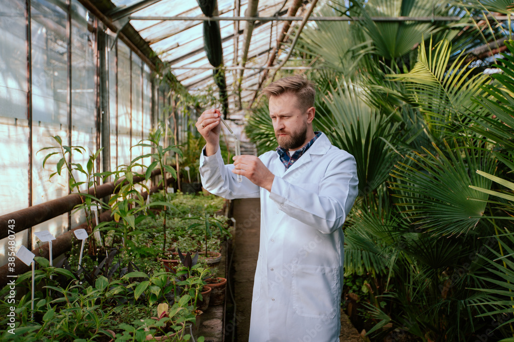 Obraz premium Man agricultural scientist analyzing a tube test with vegetables leaf they concentrated