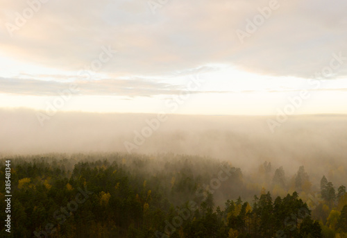 Aerial view foggy forest. Top drone view of fog forest in the morning forest. Wild mist nature background texture. Scenic misty woodland with fog