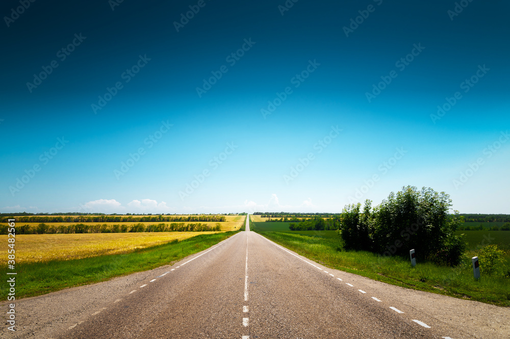 Empty country road on a summer day with green plantings of forest and greenery on the sides