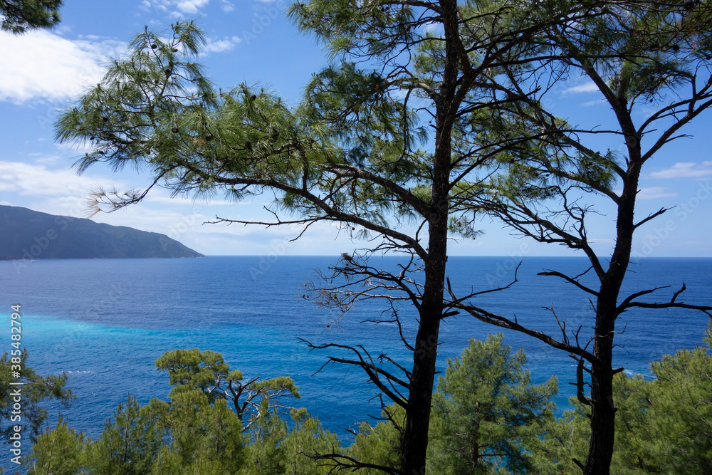 View of the Mediterranean Sea through the pine trees in Turkey