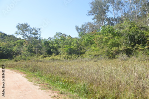 path in the field