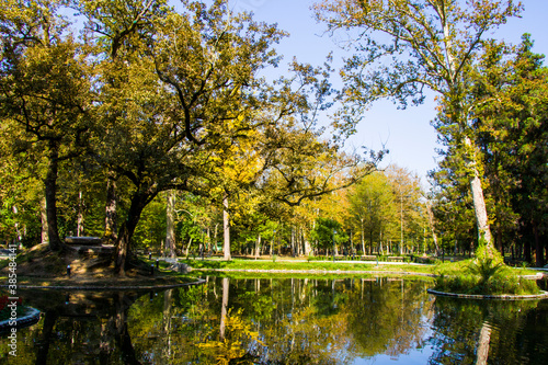 Pond in the park, Zugdidi Botanic garden photo
