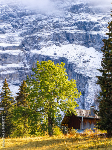 Arbre et chalet devant le Bargy