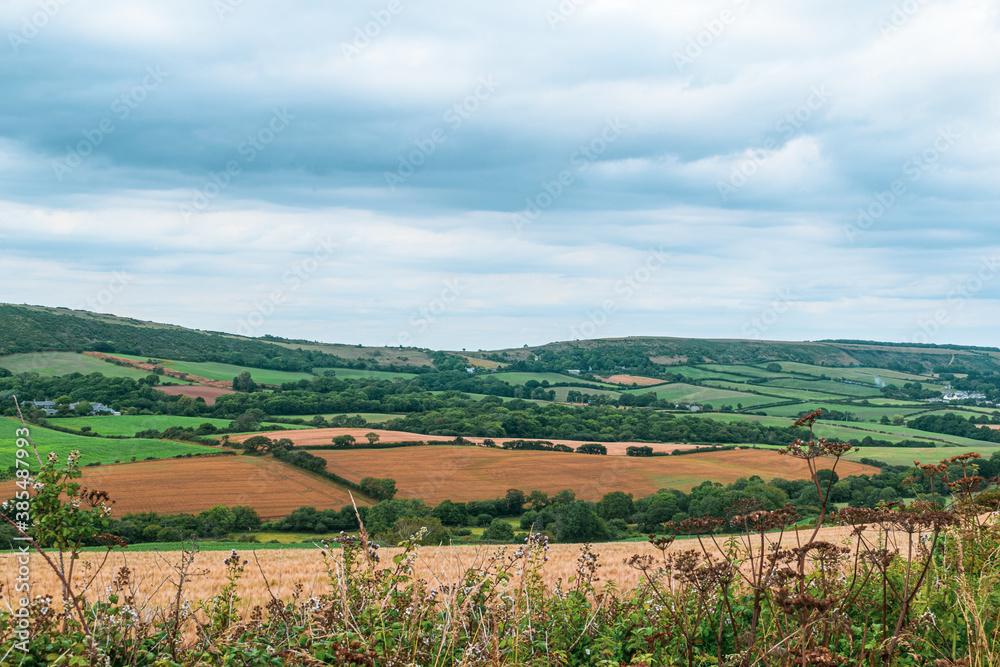 Naklejka premium Beautiful landmark of Devonshire farmlands, far distance view for trees and fields, mostly man made landscape of british farms and grazing fields for sheeps