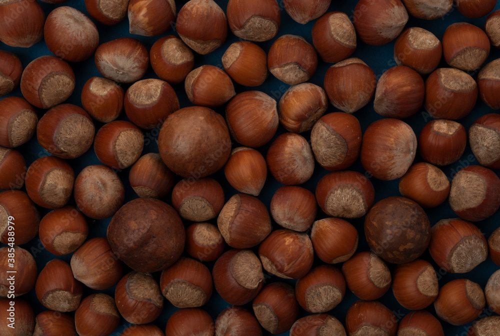 Close up view of hazelnuts with macadamia nuts on blue background Close up view of hazelnuts with macadamia nuts on blue background