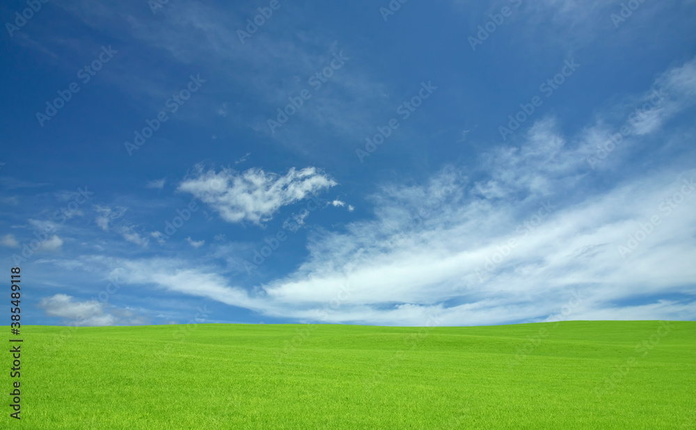 緑の草原と雲