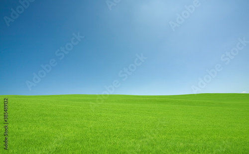 緑の草原