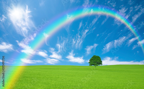 草原の一本木と雲と太陽と虹