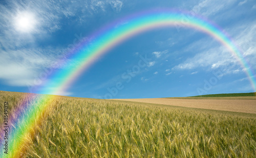 麦畑と雲と太陽と虹