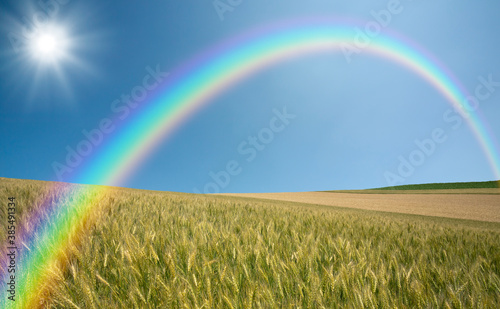 麦畑と太陽と虹