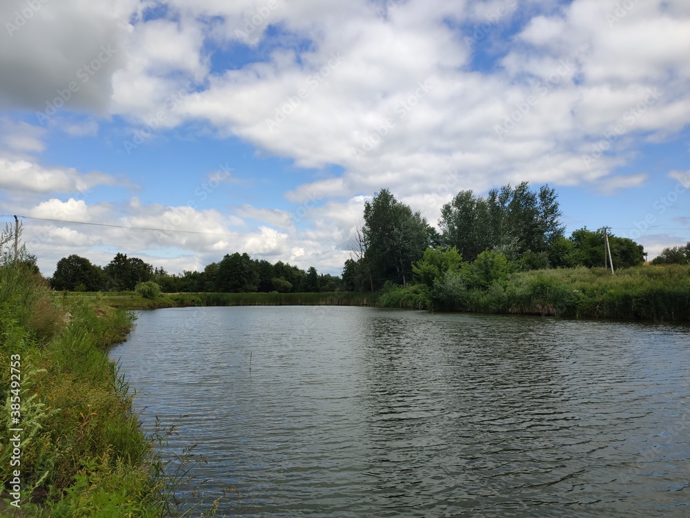 large river bed with grass and trees in summer