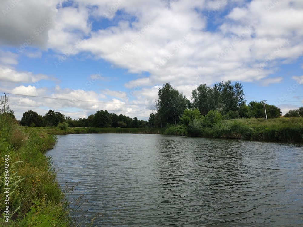 large river bed with grass and trees in summer