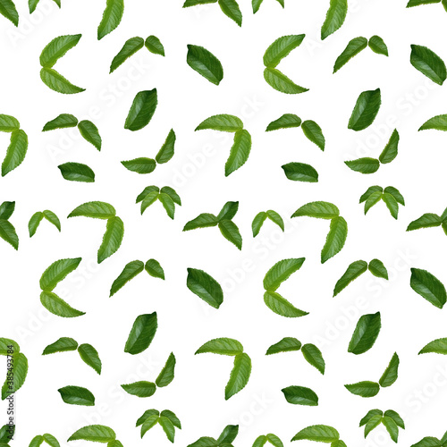 Pattern with green leaves on a white background. Seamless floral pattern for fabric, textile, wrapping paper.