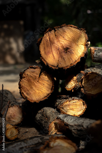sawn wood logs. preparation of firewood