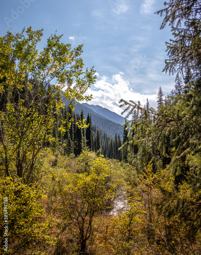 mountains in autumn. forests and trees. blue sky