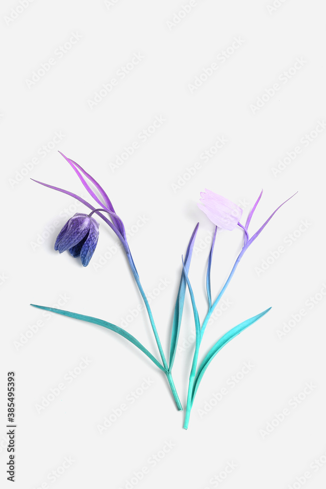 minimalistic composition of fresh spring flowers in pastel color on a white background. gradient from turquoise to pink, top view, flat lay