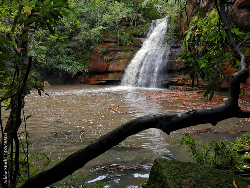 Lovers Jump Waterfall in North Turramurra photo