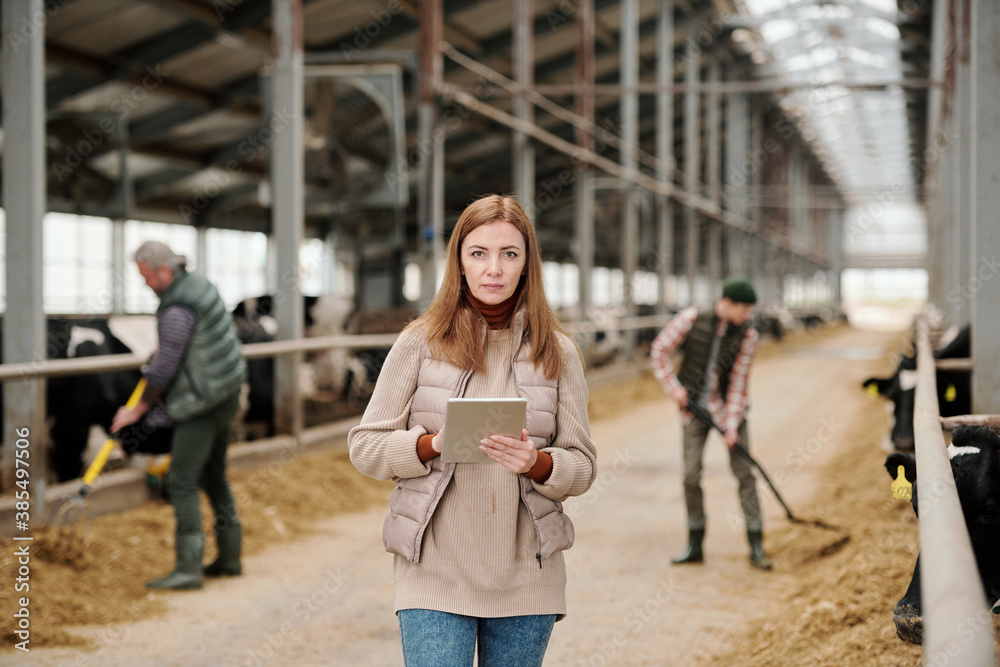 Portrait of serious female farmer analyzing livestock production using tablet while her husband and son feeding cows in background