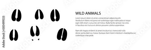 Banner of track of forest animals, traces of a deer and a roe deer and a moose , vector illustration