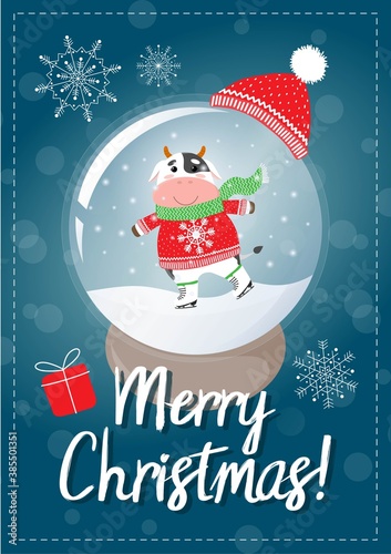 Vector colorful Christmas postcard with text. Cute cartoon cow or bull, symbol of new 2021 year, skiing. Souvenir globe with snowflakes inside. 