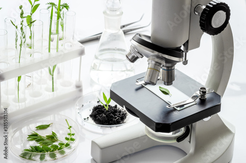 Biotechnology laboratory with plants and microscope on table.