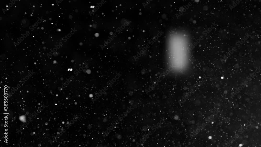 White snowflakes falling in super slow motion against black background. Filmed on high speed cinema camera at 1000 fps. White snowflakes falling in super slow motion against black background. Filmed on high speed cinema camera at 1000 fps.