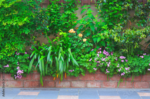 歩道に面する民家の花壇 © Paylessimages