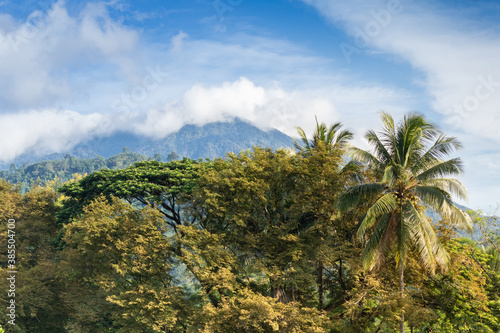 High angle view of forest with mountain and cloud in south of Thailand