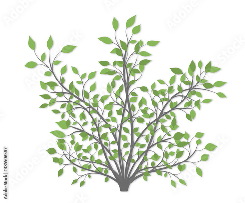 Bush plants with green leaves of different colors on a white background
