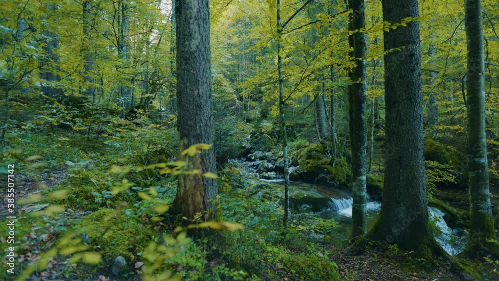 Waterfall forest nature landscapes wild jungle bavaria germany.