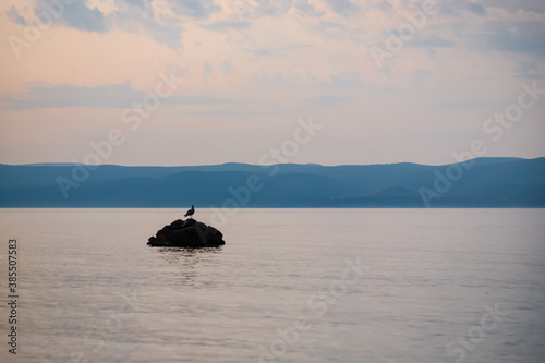 Seagull on a stone in the sea. Evening landscape. Brela Croatia, Makarska riviera