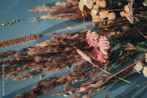 Dried herbs, ears and wildflowers on a blue background close-up.