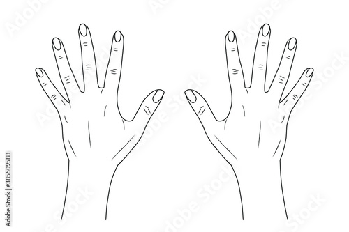 Women's hands, nails. Vector stock illustration eps10. Outline.