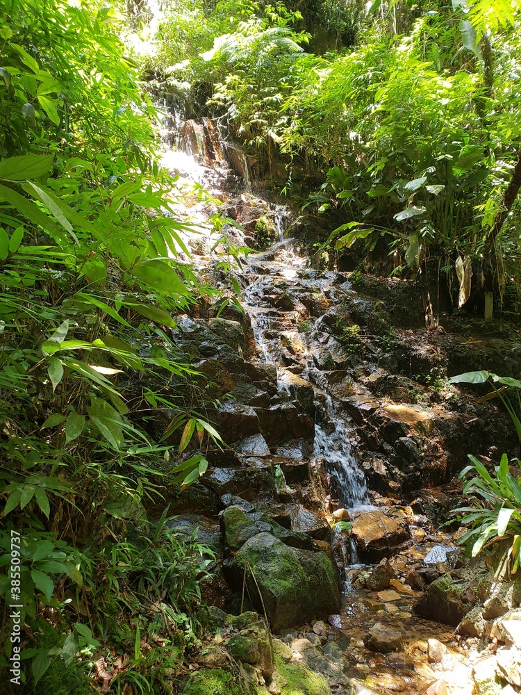 waterfall in the forest waterfall in the forest
