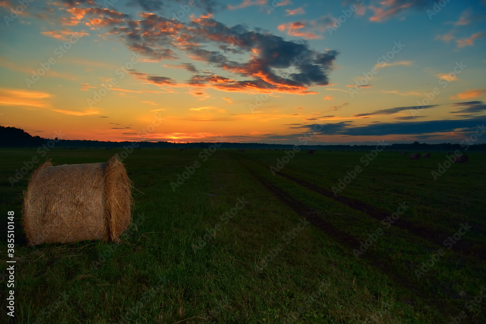 Fototapeta premium Field with hay bales at twilight.