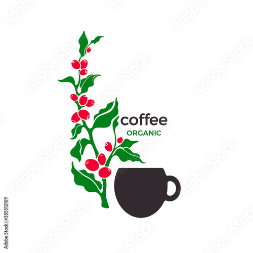 Coffee plant. Vector organic aroma drink in cup