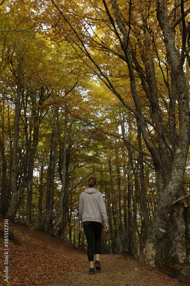 Ruta senderismo entre bosque otoñal Ruta senderismo entre bosque otoñal