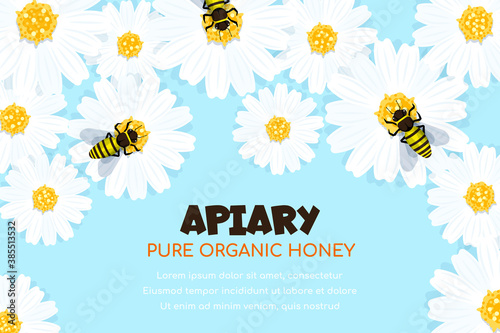 Honey bees are sitting on the flowers