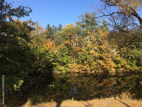 autumn in the park