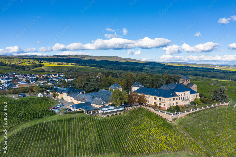 Fototapeta premium View of the beautiful Johannisberg Castle in the Rheingau / Germany in the middle of vineyards