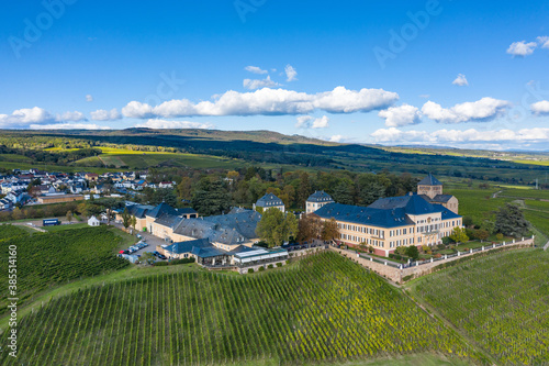 View of the beautiful Johannisberg Castle in the Rheingau   Germany in the middle of vineyards