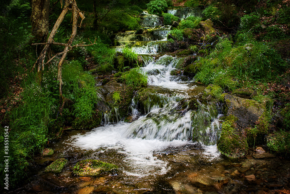 Nature wild waterfall